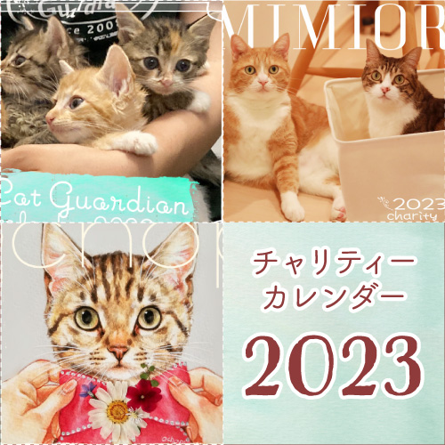 くるねこアクリルストラップ 胡ぼん Shippotv通販部