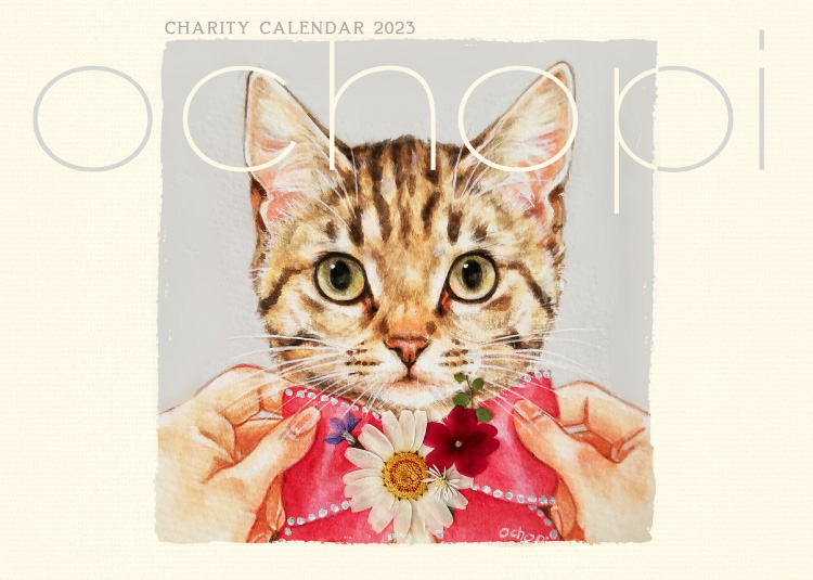 最大62 オフ 美麗猫イラストで綴る1年 Ochopi23カレンダー A5中綴じ壁掛け 見開きa4サイズ Hqcustomdesign Com