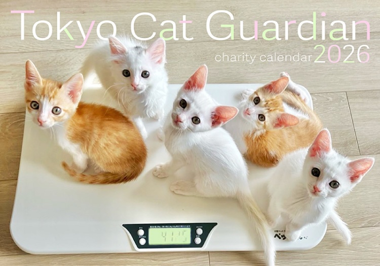 東京キャットガーディアンカレンダー
