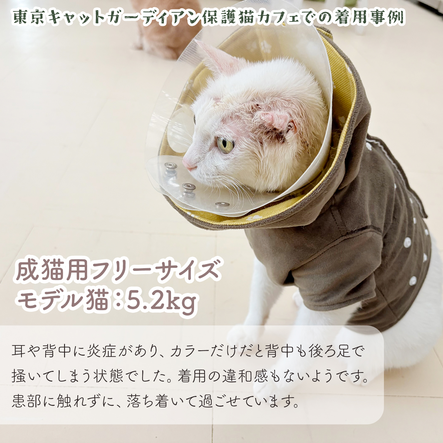 mintosu shop様