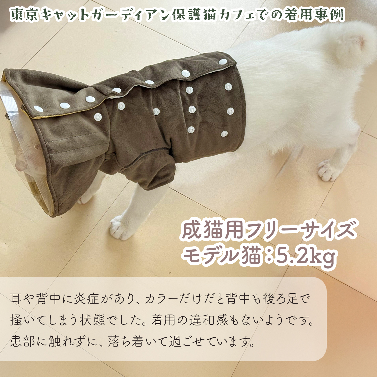 mintosu shop様