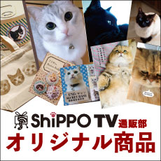 ShippoTV通販部