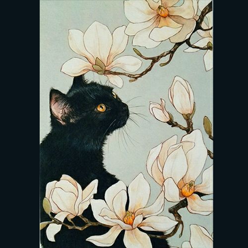 ポストカード 白木蓮と黒猫 Shippotv通販部